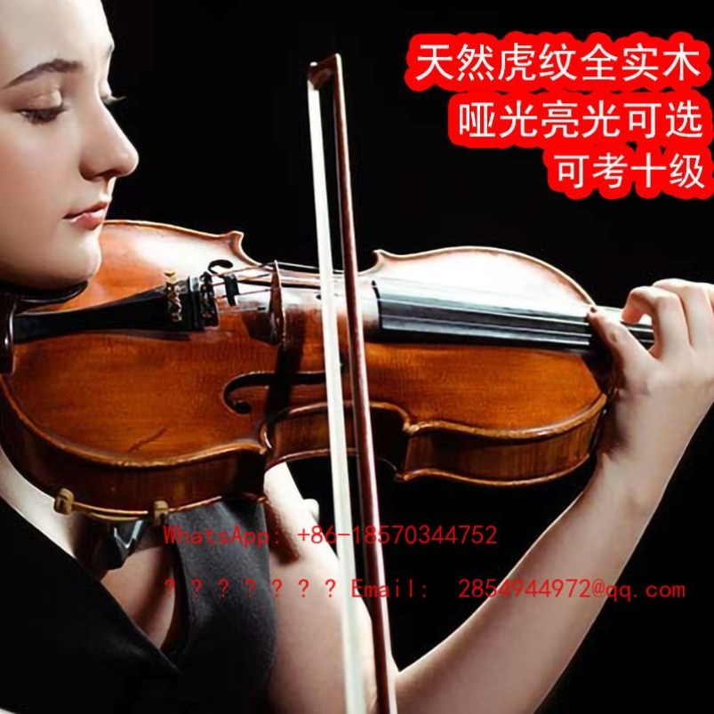 Musical Instrument Net - ไวโอลินระดับมืออาชีพ เครื่องดนตรีไวโอลินไม้แท้ทั้งตัว ทำด้วยมือ