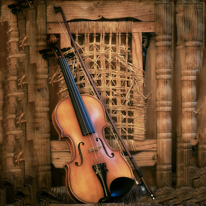 ไวโอลินโบว์ไวโอลินผู้เรียนอุปก - Musical Instrument Shop บทวิจารณ์และราคา