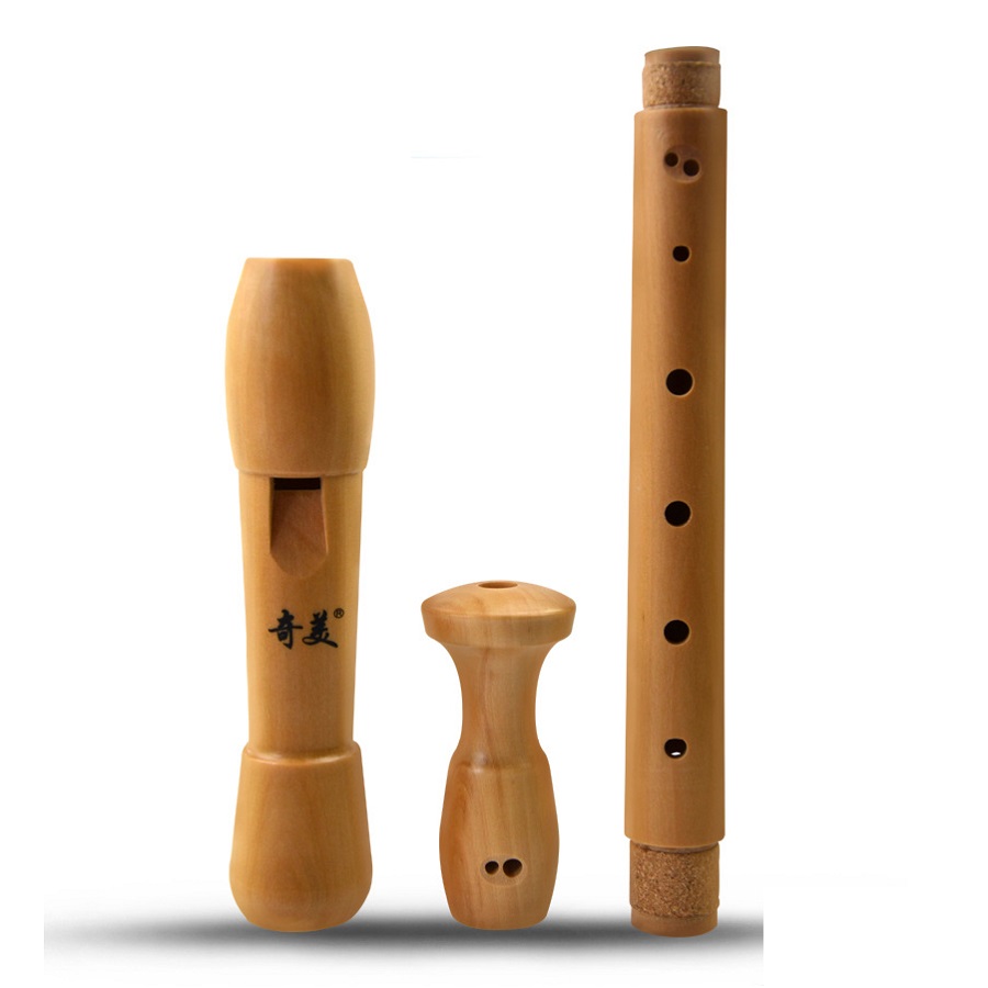 Qimei 8 หลุม Alto Recorder เคร - Musical Instrument Theremin บทวิจารณ์และราคา