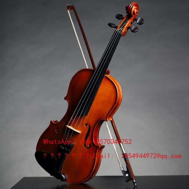 ไวโอลินระดับมืออาชีพ เครื่องดน - Musical Instrument Net บทวิจารณ์และราคา