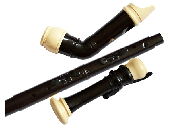 Professional 8 หลุม Baroque Ba - Musical Instrument Recorder บทวิจารณ์และราคา