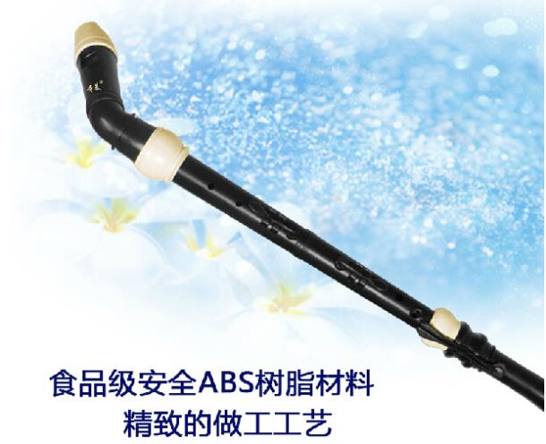 Professional 8 หลุม Baroque Ba - Musical Instrument Recorder บทวิจารณ์และราคา