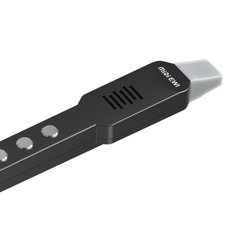 ขลุ่ยฟลุตขนาดเล็กแบบอิเล็กทรอน - Musical Instrument Theremin บทวิจารณ์และราคา